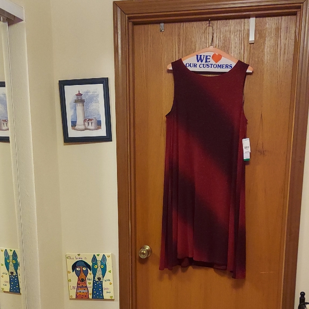 Signature by Robbie Bee Deep Red Prom Dress